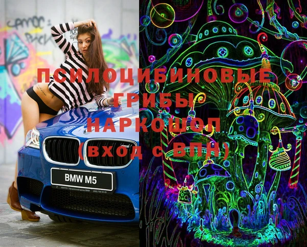 индика Ладушкин