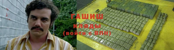 индика Ладушкин