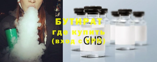 индика Ладушкин