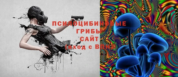 каннабис Лабытнанги