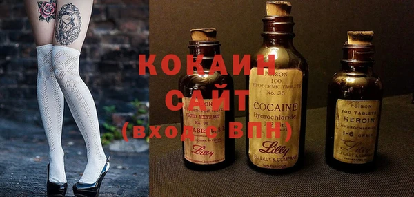 индика Ладушкин