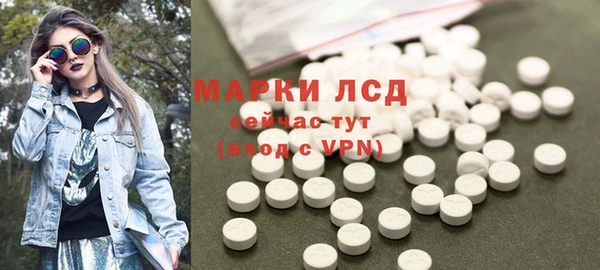 индика Ладушкин