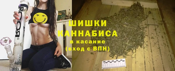 соль ск Лагань
