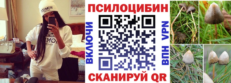 Галлюциногенные грибы MAGIC MUSHROOMS  Купить закладки  Мураши 